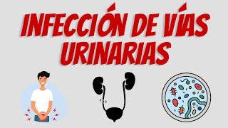 Infección de Vías Urinarias  Actualización 2022 [upl. by Gennifer]