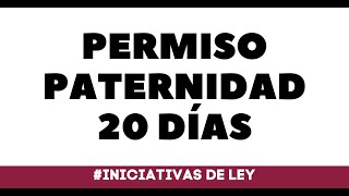 PERMISO PATERNIDAD 20 DIAS [upl. by Alrats]