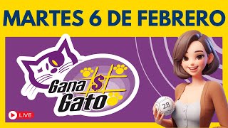 Sorteo GANA GATO de Hoy 6 de Febrero 2024 ✅ [upl. by Akcinat]