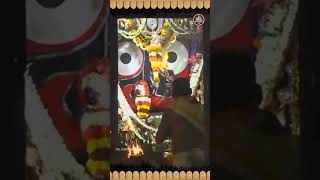 SANDHYA ALATIJAGANNATH TEMPLE 12Nov 2024  ଶ୍ରୀପତିତପାବନଙ୍କ ସନ୍ଧ୍ୟା ଆଳତୀ ଦର୍ଶନ  JAY JAGANNATH TV [upl. by Reyaht]