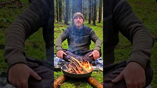 Mindfulness amp Meditation in the Forest  Finding inner Peace amp Balance  Shinrin [upl. by Attenyl]