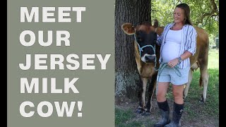 Meet our Jersey Milk Cow  The Story of How We Came to Own Her [upl. by Eboj]