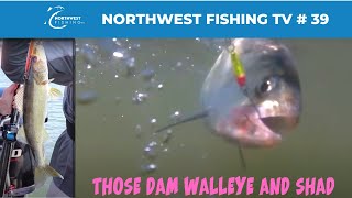 McNary Dam Walleye amp Shad Fishing  Northwest Fishing TV 39 [upl. by Tega43]