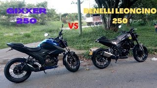 BENELLI LEONCINO 250 VS GIXXER 250 🔥 1000 MTS 🏁 DRAG RACE [upl. by Leviram]