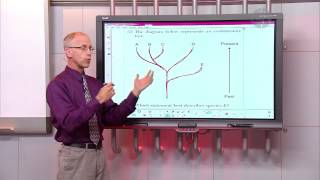 Homework Hotline Science Review [upl. by Dodson]