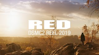 RED DSMC2 REEL  2019  Shot on RED [upl. by Baalbeer]