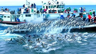 Catching Hundreds of Tons of Fish Every Day  Are Our Oceans in Danger [upl. by Eitsirc]