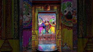 New Odia Jagannath Bhajan Status Video 🙏  Jagannath Odia Status Video shortvideo bhajan [upl. by Ecinnaj]