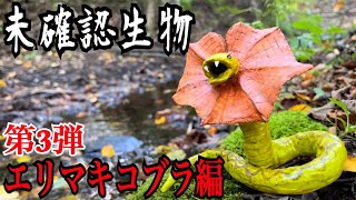 【未確認生物】エリマキコブラ見つけるまで帰れません！！！ [upl. by Nnylannej]