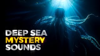 The Deep Ocean Noises We Still Can’t Identify [upl. by Solegna]