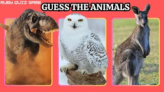 Guess the Animal by their fun facts quiz animals guess foryou [upl. by Rabaj]