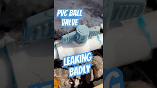 PVC Ball Valve Leaking Badly  HOA Responsibility  Ultra Plumbing amp Drain Cleaning Inc [upl. by Stanwinn]