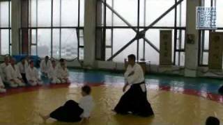 Shoji Seki Shihan Seminar 2008 eng [upl. by Ralaigh]