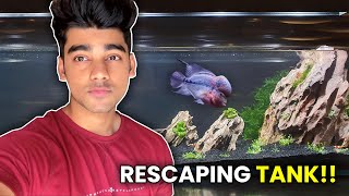 Rescaping my Flowerhorn Tank  How to Keep Flowerhorns  Care Guide amp Species Profile [upl. by Rialc]