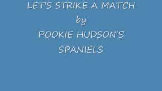 LETS STRIKE A MATCH by POOKIE HUDSONS SPANIELSwmv [upl. by Ennayelsel]