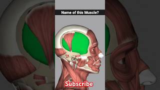 temporalis muscle anatomy  temporalis muscle release foryou shorts [upl. by Nyloc967]