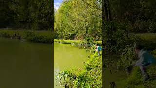 beautifulplace nature paysage promenade travel  relaxing relaxingmusic [upl. by Reggis272]