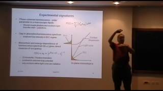 Condensation of excitons and polaritons 3  Littlewood [upl. by Nie]