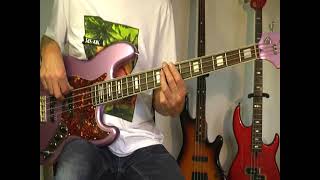 Typically Tropical  Barbados  Bass Cover [upl. by Dde36]