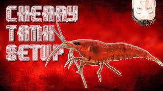 HOW TO Setup Cherry Shrimp Tank and Neocaridina [upl. by Sherborn774]