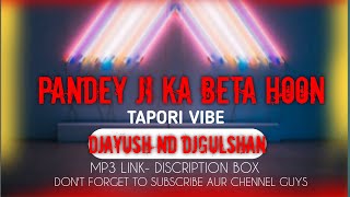 Pandey Ji Ka Beta Hoon Tapori Vibe DjAYUSH Nd DjGULSHAN djgkrbhai djayushbhai [upl. by Cosmo]