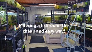 How I filter my fishroom the cheap and easy way [upl. by Eshelman]