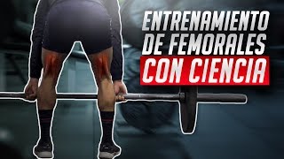 El mejor entrenamiento para femorales  CIENTÍFICAMENTE COMPROBADO [upl. by Nnaeiram]