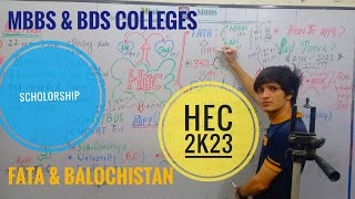 HEC undergraduate Scholarship for fata and Baluchistan 2023  HEC MBBSBDS Seats  HEC Fata [upl. by Hyozo]