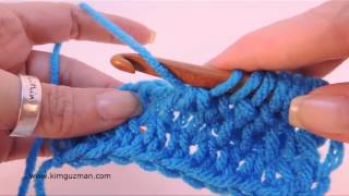 Tunisian Crochet Double Stitch or Double Crochet [upl. by Squires]