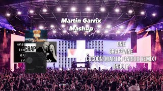 One vs Grapevine vs Cocoon Martin Garrix Remix vs Unholy ［Martin Garrix 2023 Mashup］ [upl. by Llerraf613]