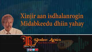 Hees Jacayl Dhiig Ma Lagu Qoray  Maxamed S Tubeec [upl. by Naujal735]