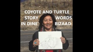 Navajo Grandma quotCoyote amp Turtle Story Words in Dine Bizaadquot [upl. by Eillib]