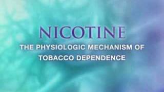 Visualization award winner in Science  Nicotine addiction and molecule diffusion [upl. by Kayley166]