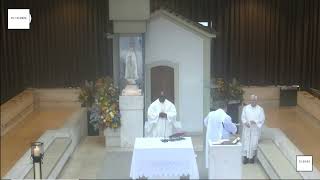 Celebrating Faith Mass of Our Lady of Fátima at the Chapel of the Apparitions on 15102024 [upl. by Nnawtna]