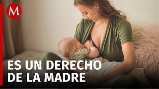 La lactancia materna es un derecho que beneficia a madres e hijos [upl. by Paucker]