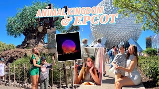 Animal Kingdom amp Epcot Disney World Episode 2 [upl. by Kwang]