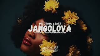 Amapiano Instrumental 2023 Young John x Davido x Chris Brown Type Beat  quotJangolovaquot [upl. by Saisoj]