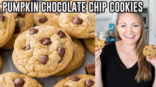 How to Make Pumpkin Chocolate Chip Cookies [upl. by Kelila]