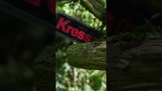 the Kress Commercial 60V Chainsaw 💪🌳 [upl. by Awjan]