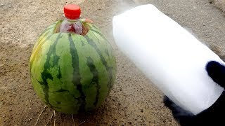 Experiment  Sprengt Trockeneis in einer Flasche eine Wassermelone [upl. by Airdna]