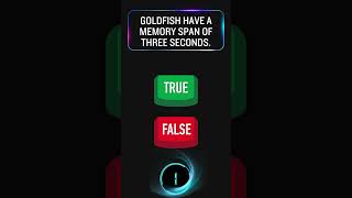 True or False Quickfire Trivia Challenge [upl. by Ahcilef]