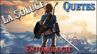 ENTOMOLOGIE  QUETES  ZELDA BOTW [upl. by Harewood]