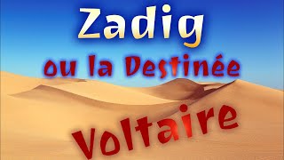 Zadig Voltaire  Chapitre 11  Le Bûcher [upl. by Roti]