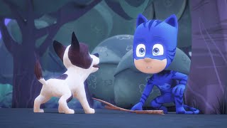 Its A Dog Eat Cat World  Full Episodes  PJ Masks  Cartoons for Kids  Animation for Kids [upl. by Aiekal963]