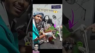 haadi 💀का कुत्ता हुआ😱😱 comedy​ dog​ [upl. by Aihsein624]