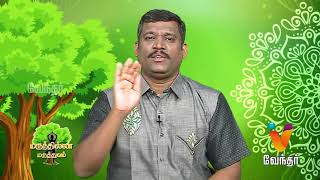 பெண்களுக்கு ஏற்படும் பிரச்சனைகளுக்கு தீர்வு Healer Baskar 06032018  Epi1283 [upl. by Rolland]