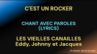 CEST UN ROCKER  PAROLES Lyrics Les vieilles canailles HQ [upl. by Oiracam]