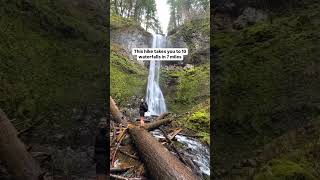 Want to see 10 waterfalls on one 7 mile hike Here’s how hiking [upl. by Brannon]