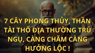 7 Cây Phong Thủy Thần Tài Thổ Địa Thường Trú Ngụ Càng Chăm Càng Hưởng Lộc   Tinh Hoa Tri Thức [upl. by Grunberg]