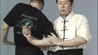 Tai Chi Тай чи Ч25 Bai He Chuan Cong рычаг пальцев выверт руки [upl. by Nanji]